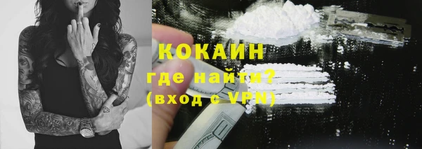 СК Няндома