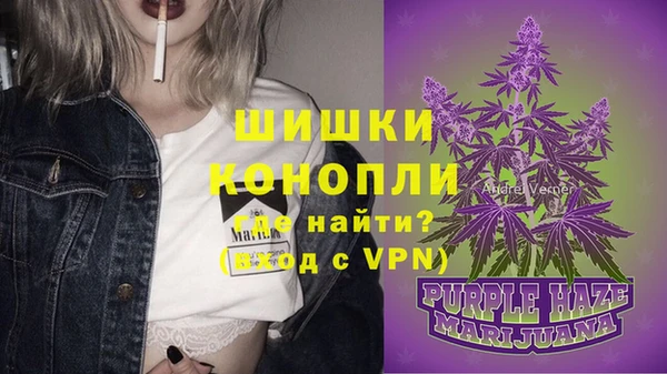 СК Няндома