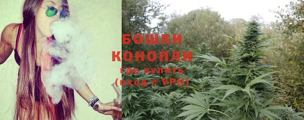 СК Няндома
