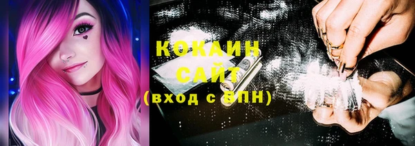 СК Няндома