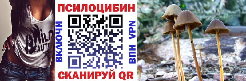 Псилоцибиновые грибы ЛСД  дарнет шоп  ОМГ ОМГ tor  Ревда 
