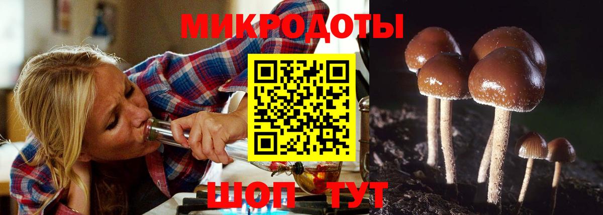 Галлюциногенные грибы Psilocybine cubensis  Ревда  Галлюциногенные грибы GOLDEN TEACHER 