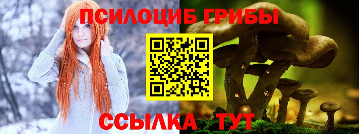 Псилоцибиновые грибы MAGIC MUSHROOMS  Вход с VPN  Ревда 