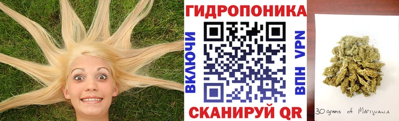 OMG ТОР  продажа наркотиков  Ревда  Марихуана AK-47 